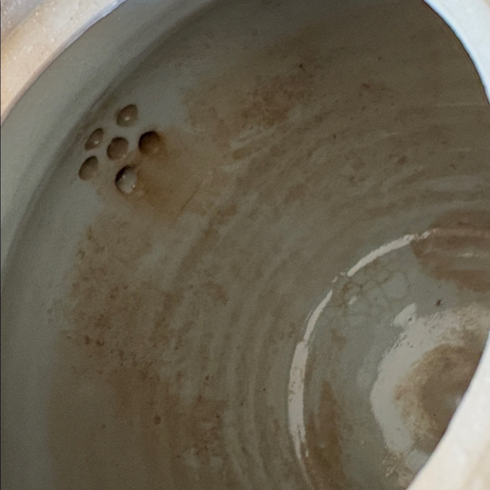 Handmade Pottery Tea Pot - Picture 7 of 16